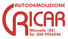 Logo Ricar Srl